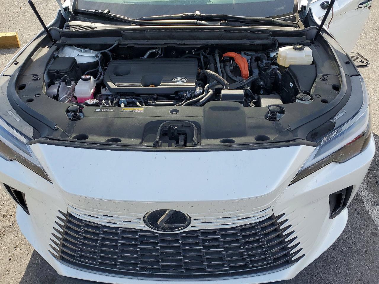 2025 LEXUS