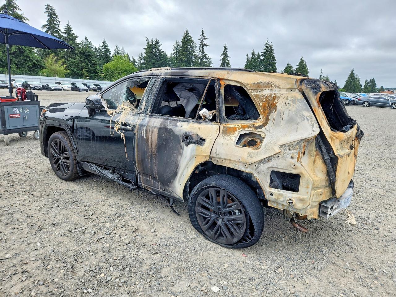 2026 TOYOTA RAV4