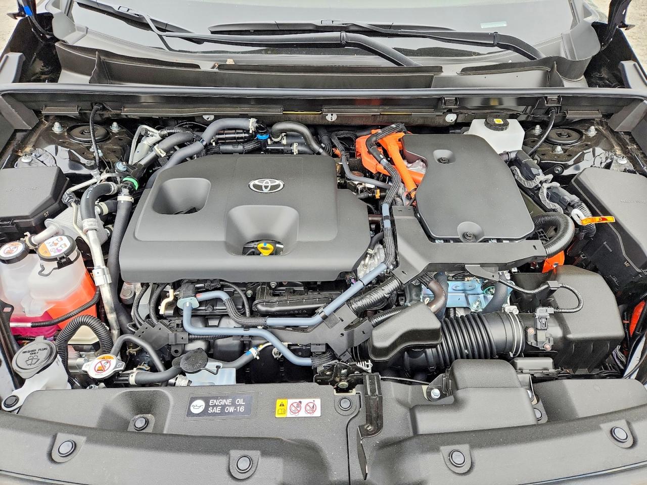 2026 TOYOTA RAV4
