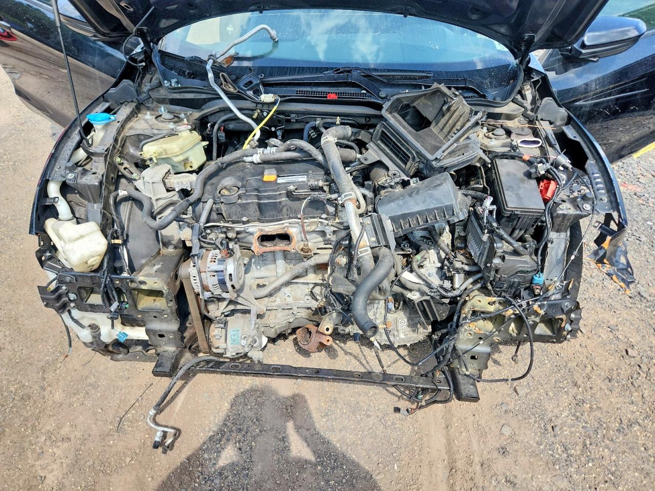 2019 HONDA CIVIC