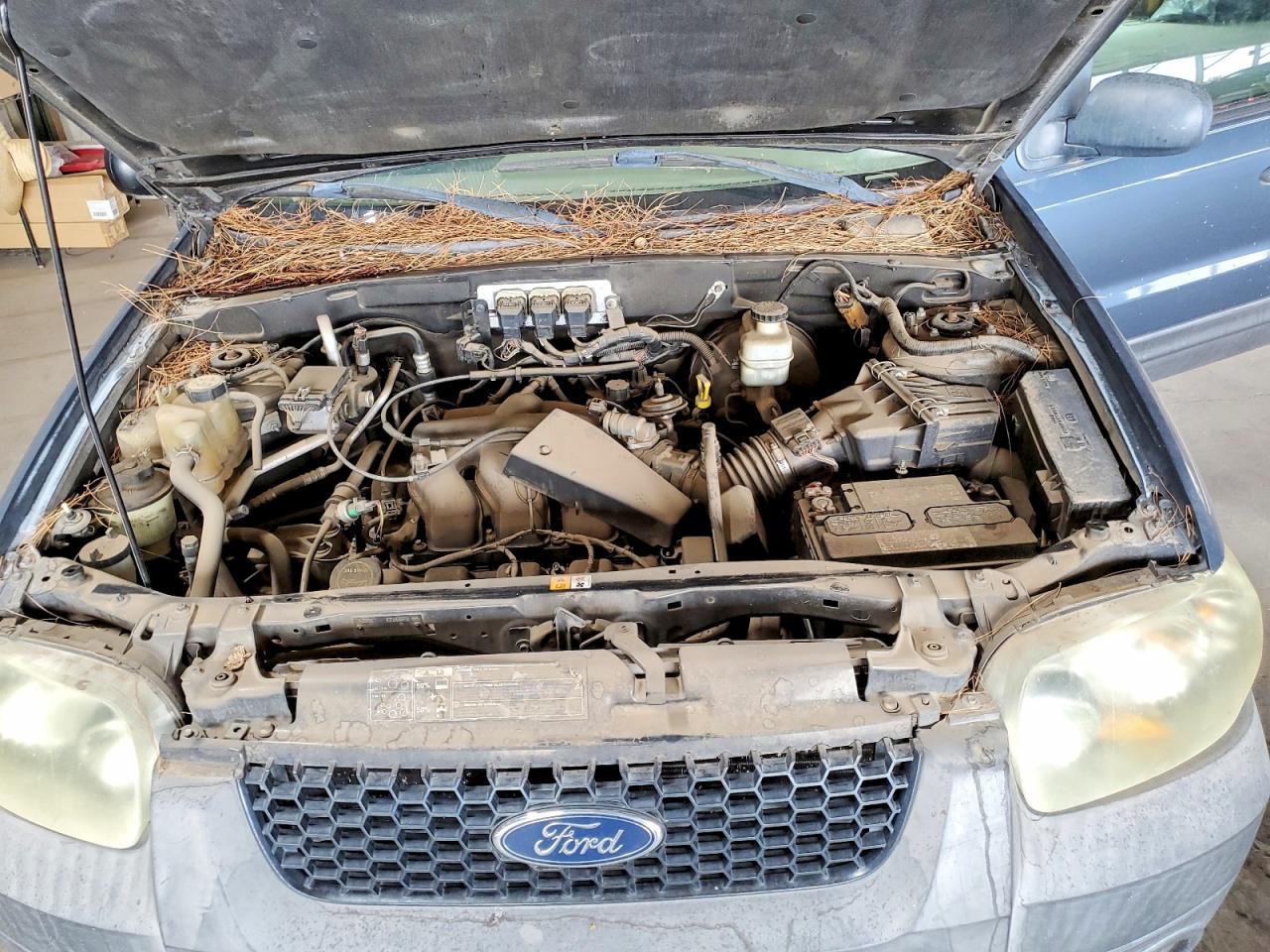 2005 FORD ESCAPE