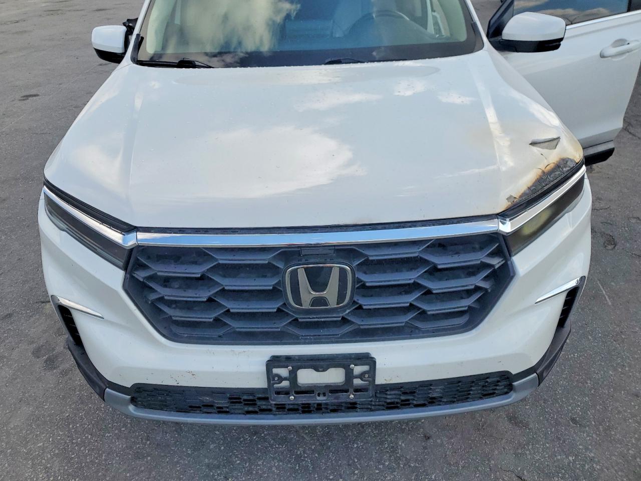 2023 HONDA PILOT