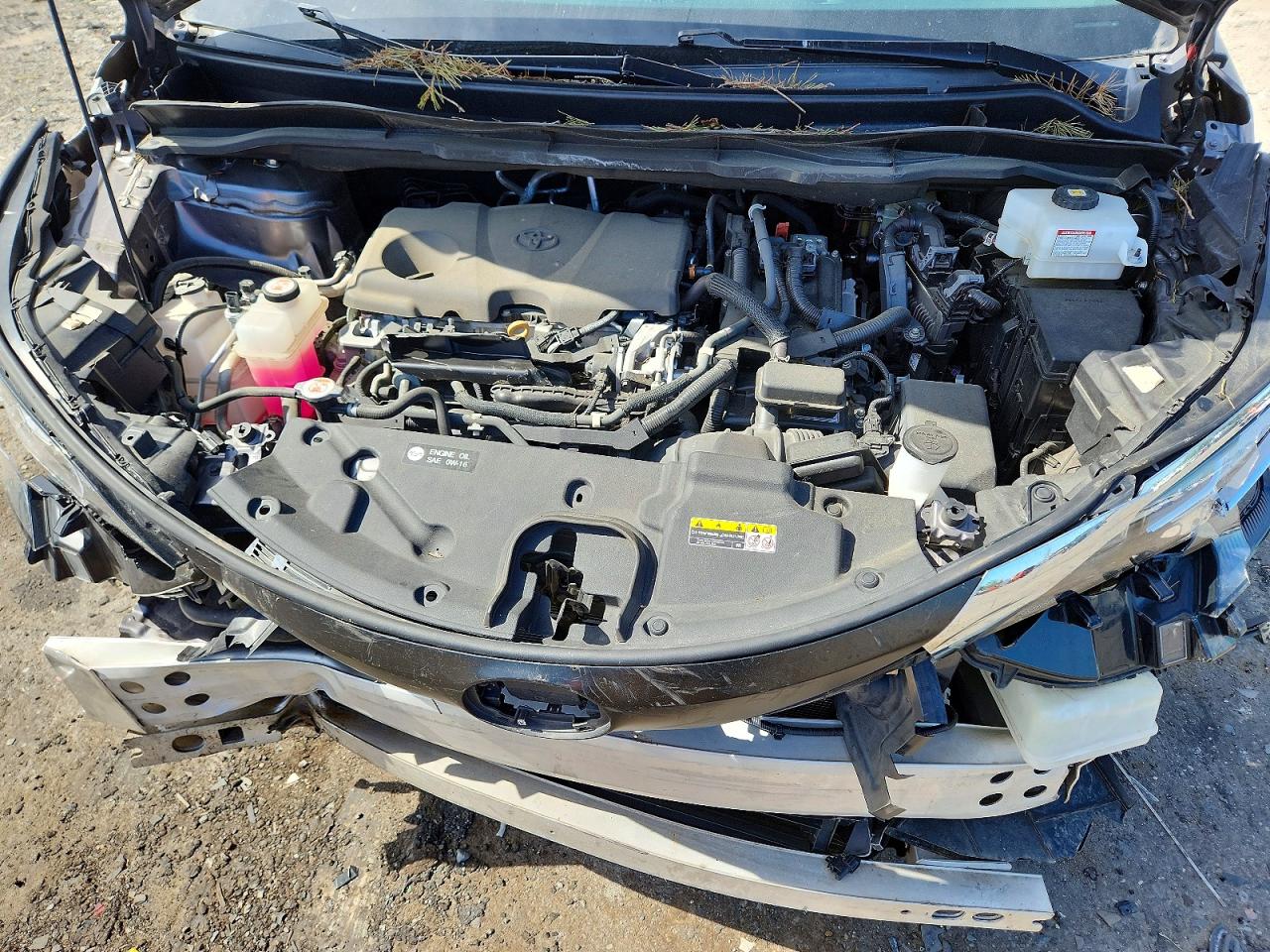 2021 TOYOTA SIENNA