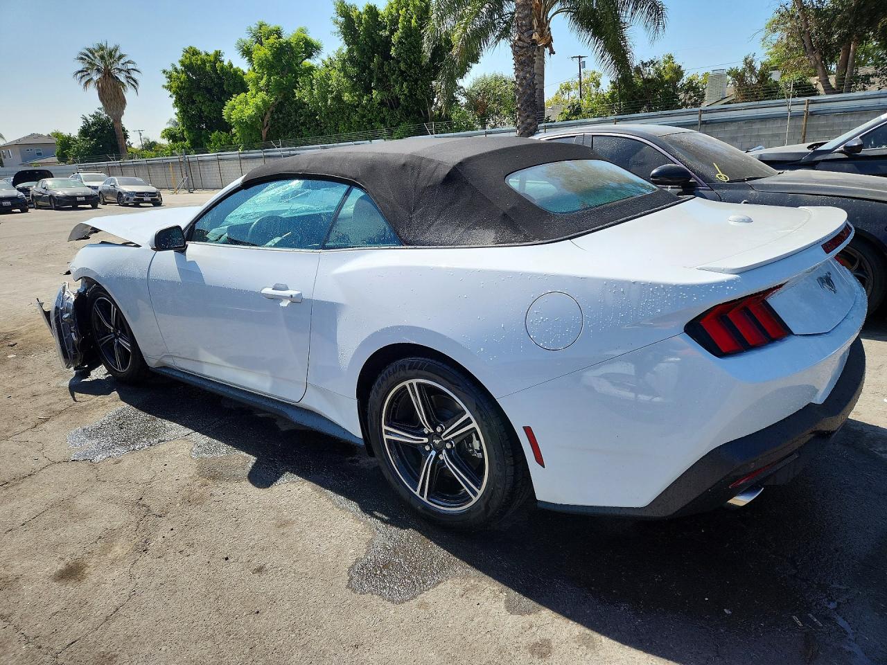 2025 FORD MUSTANG