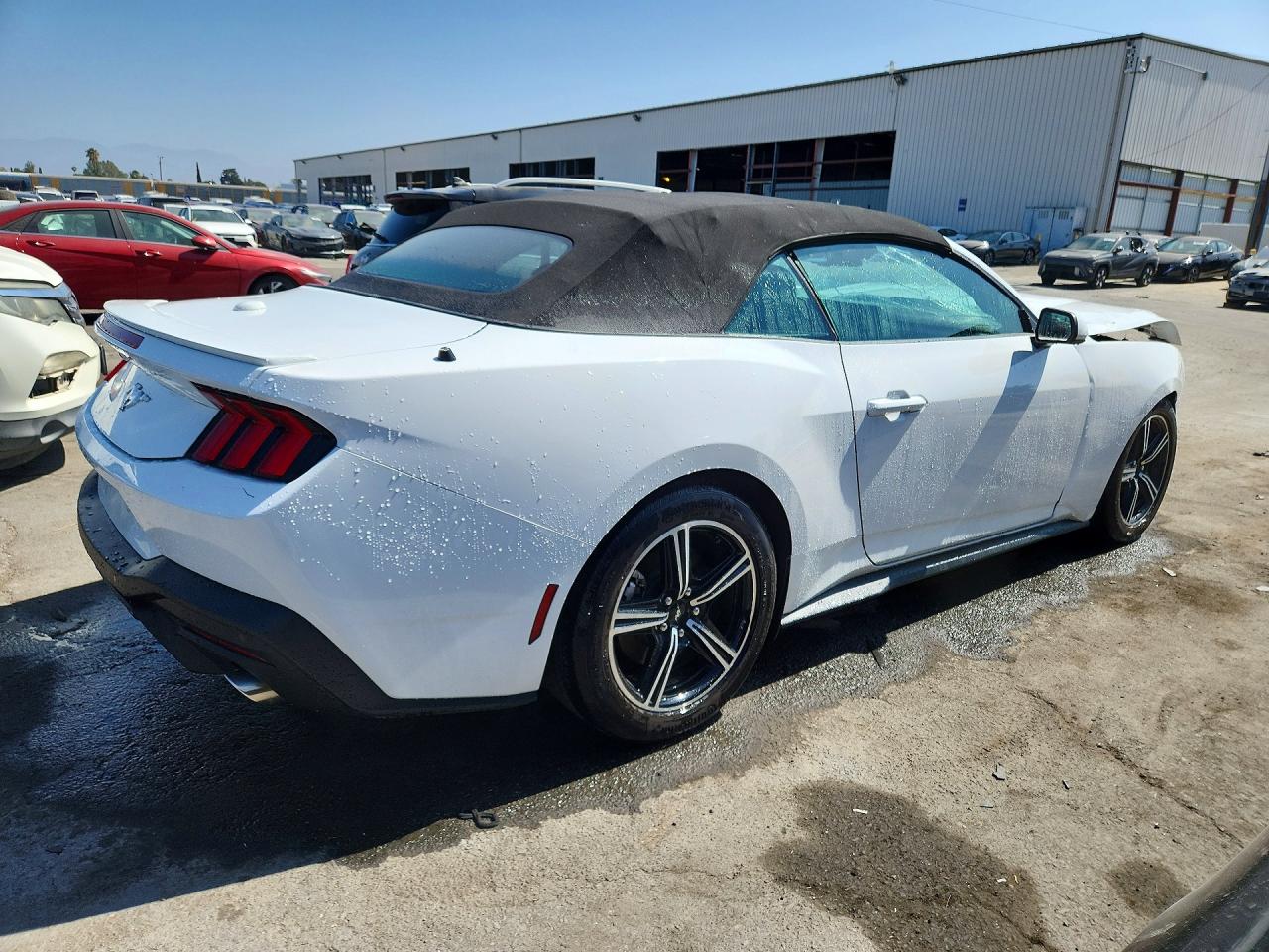 2025 FORD MUSTANG