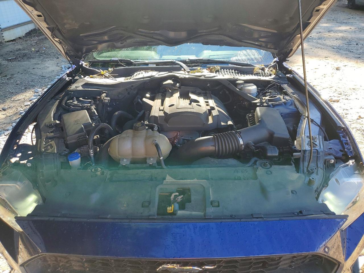2020 FORD ALL Models