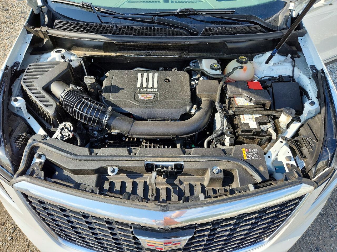 2024 CADILLAC XT5