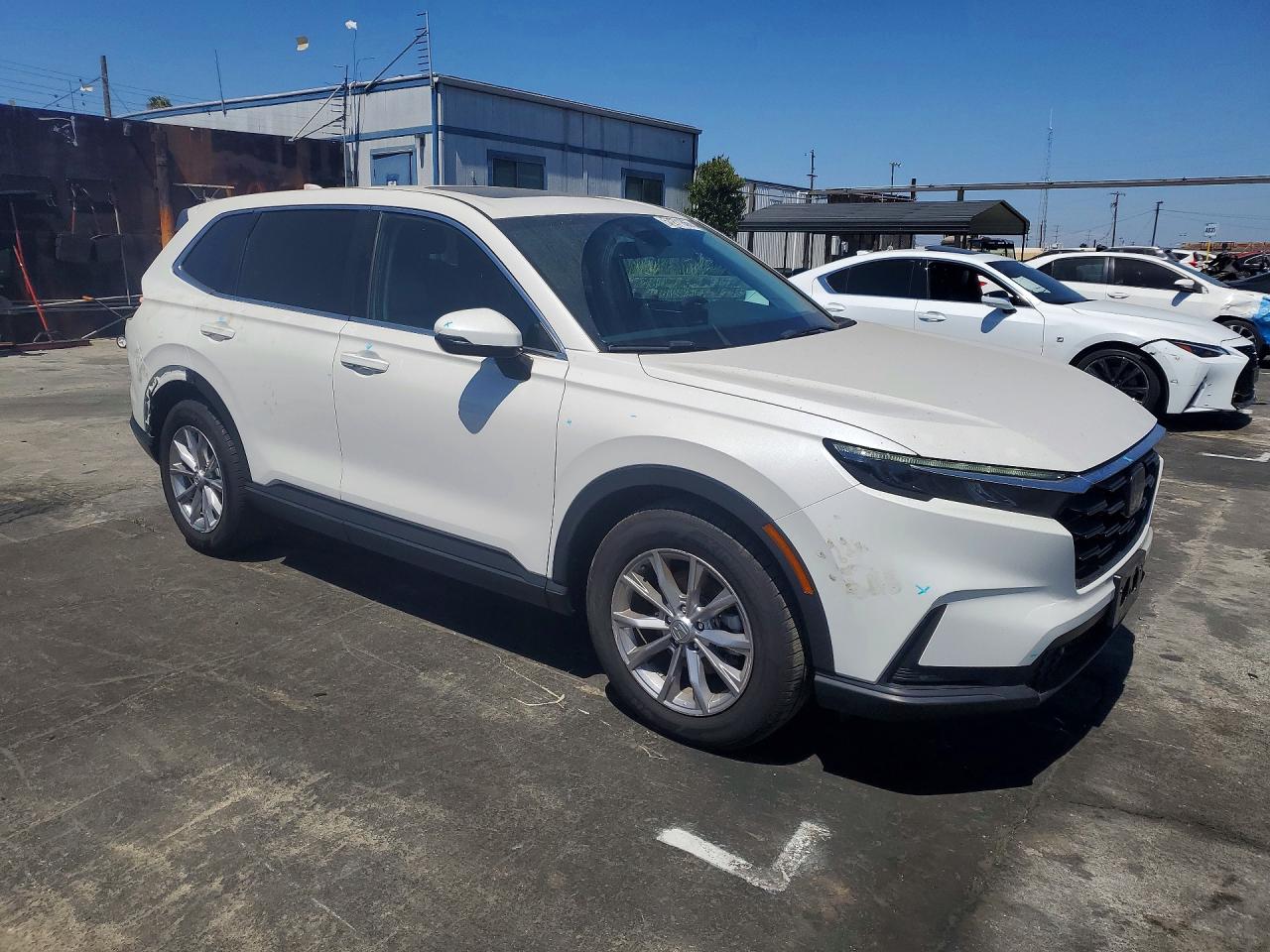 2025 HONDA CRV