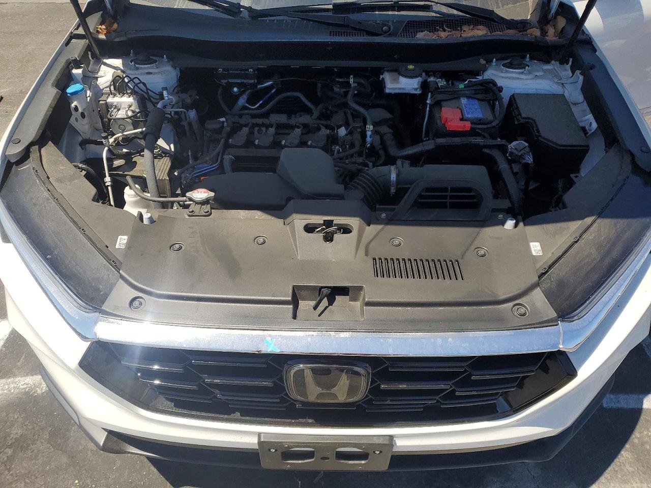 2025 HONDA CRV
