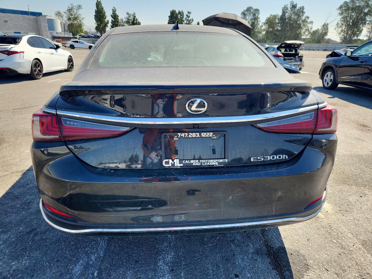 2025 LEXUS ES300