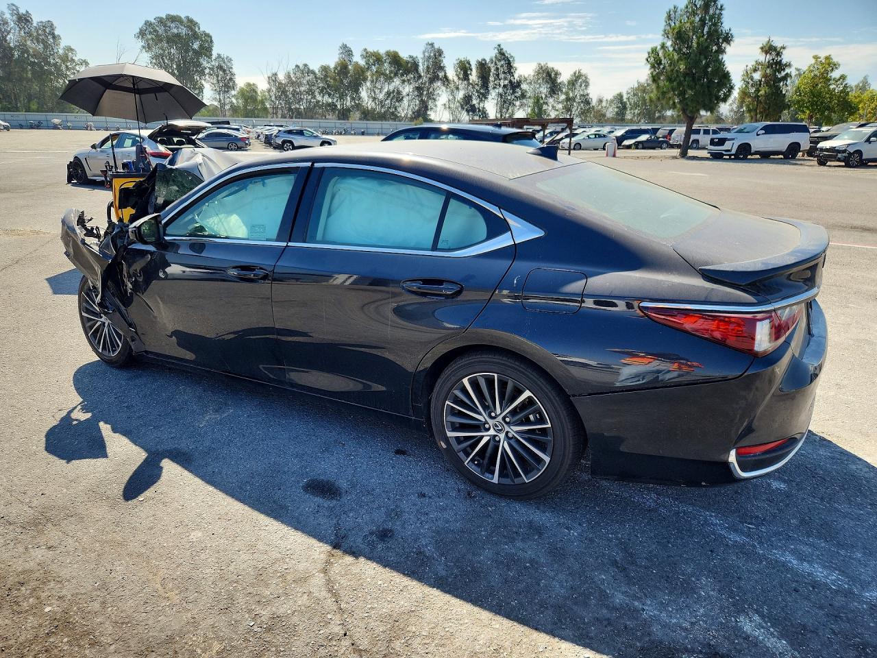 2025 LEXUS ES300