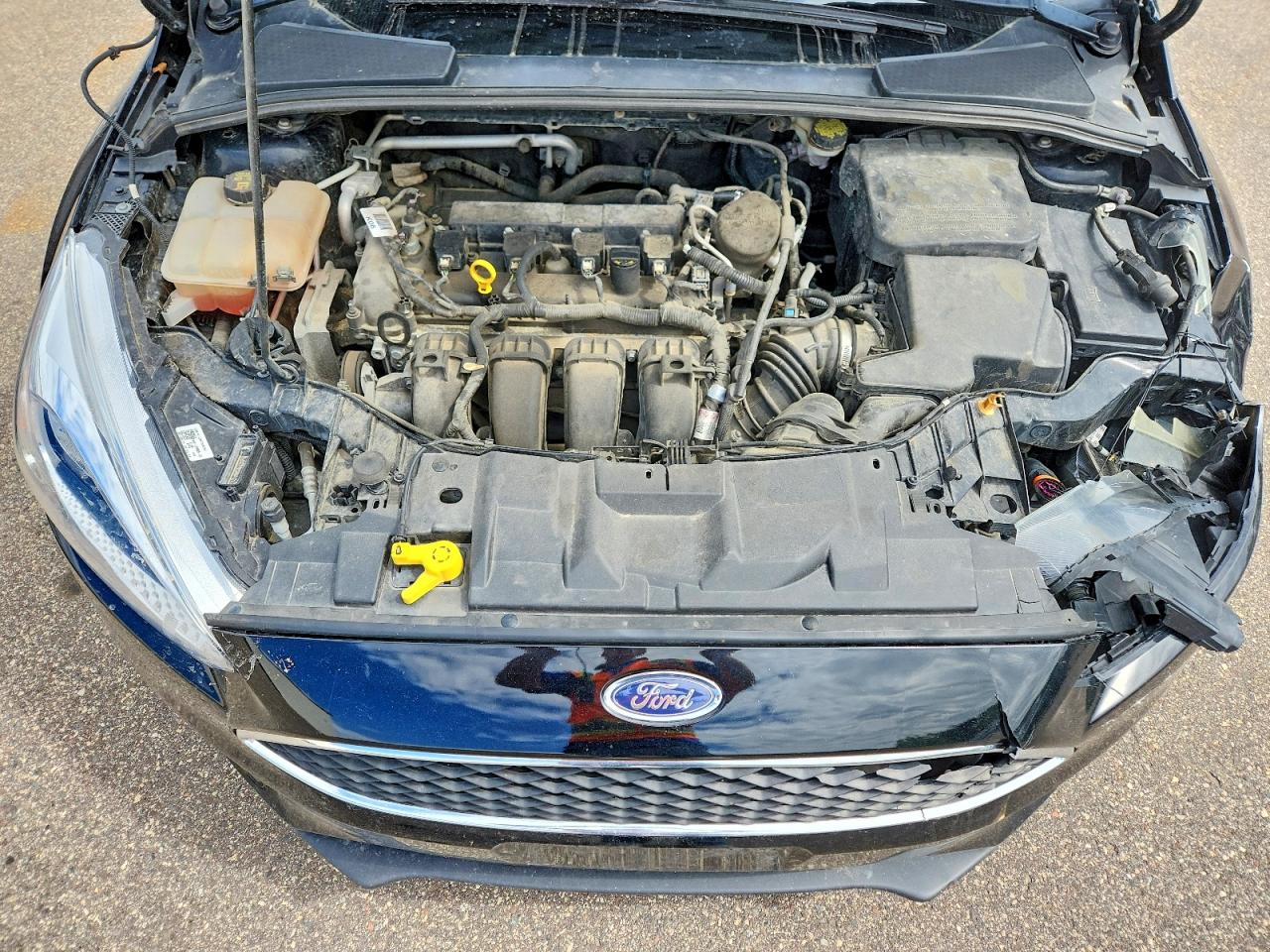 2016 FORD FOCUS