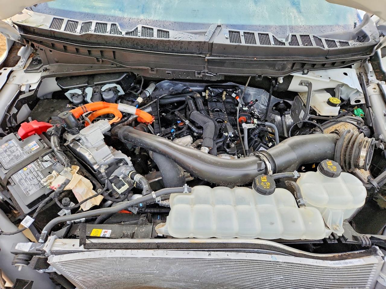 2025 FORD F150
