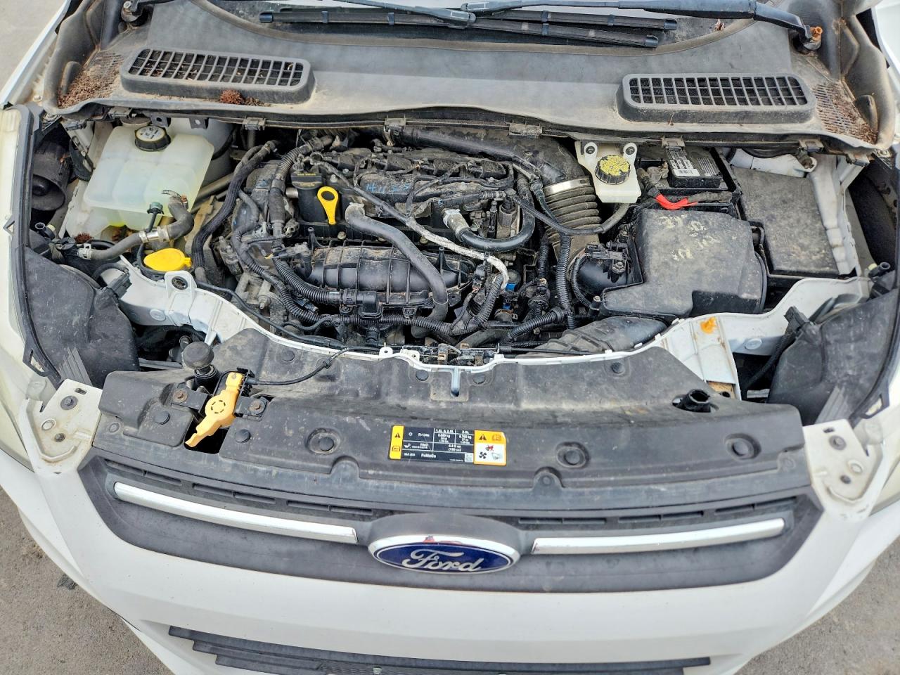2013 FORD ESCAPE
