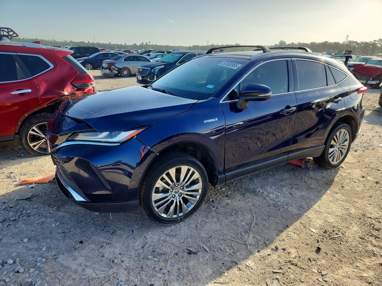 2021 TOYOTA VENZA