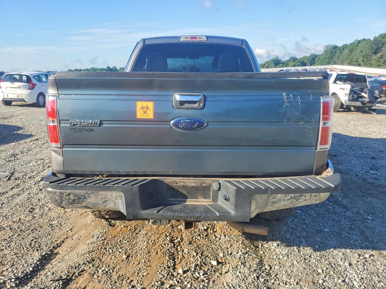 2010 FORD F-150