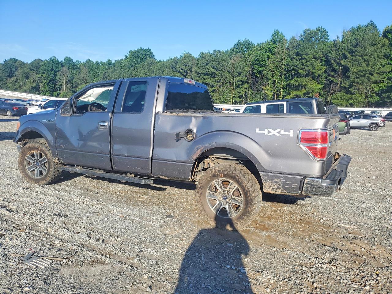 2010 FORD F-150