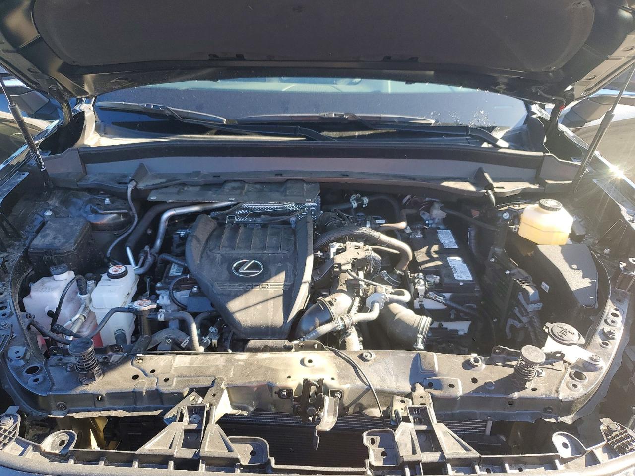 2025 LEXUS TX 350 PRE