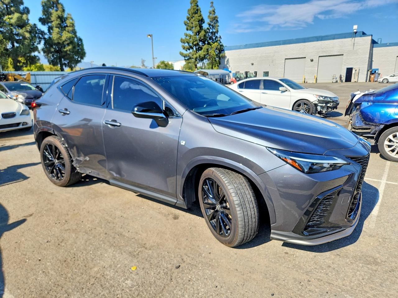 2024 LEXUS NX