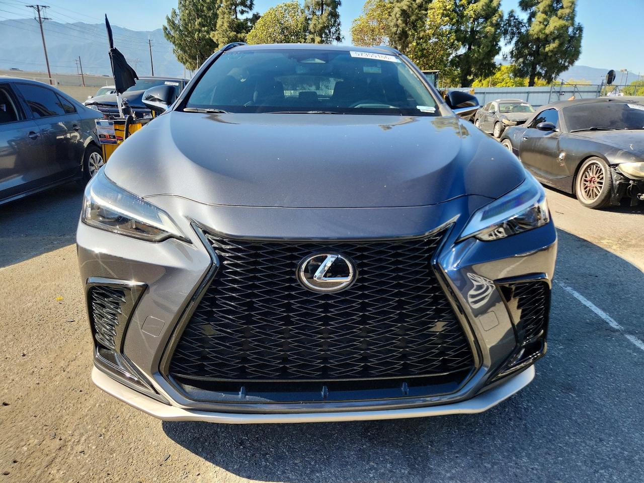 2024 LEXUS NX