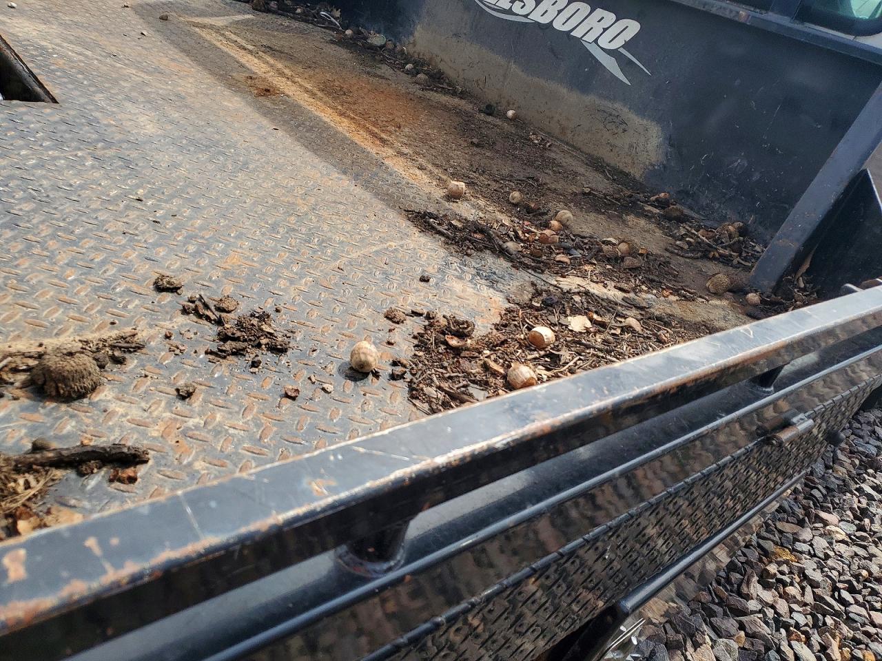 2000 FORD F350