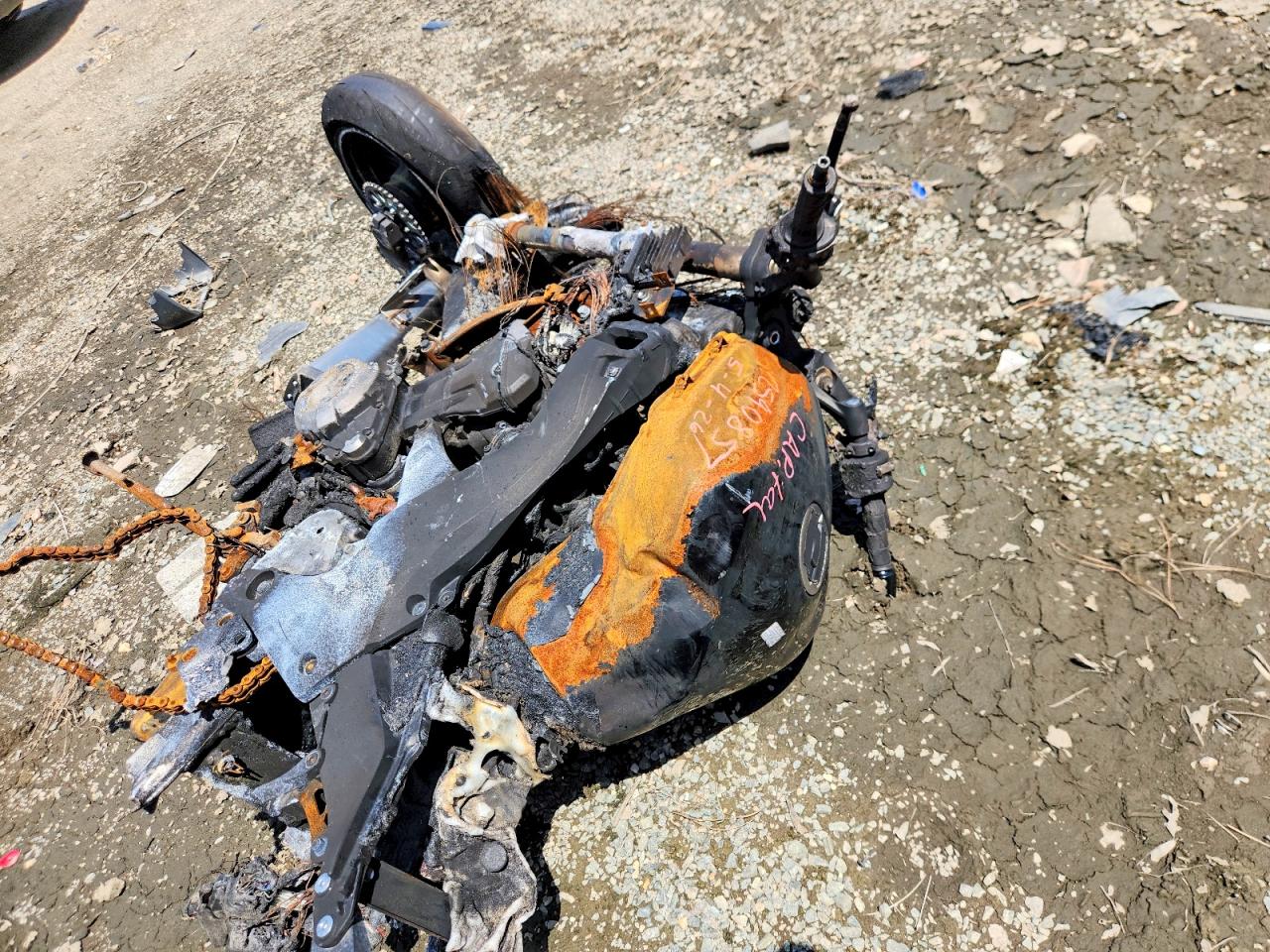 2024 KAWASAKI ALL OTHER