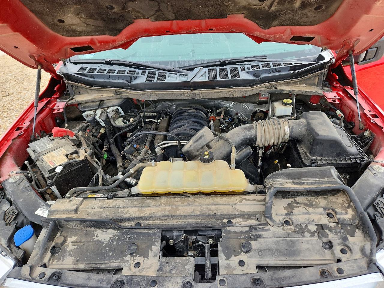 2021 FORD F150
