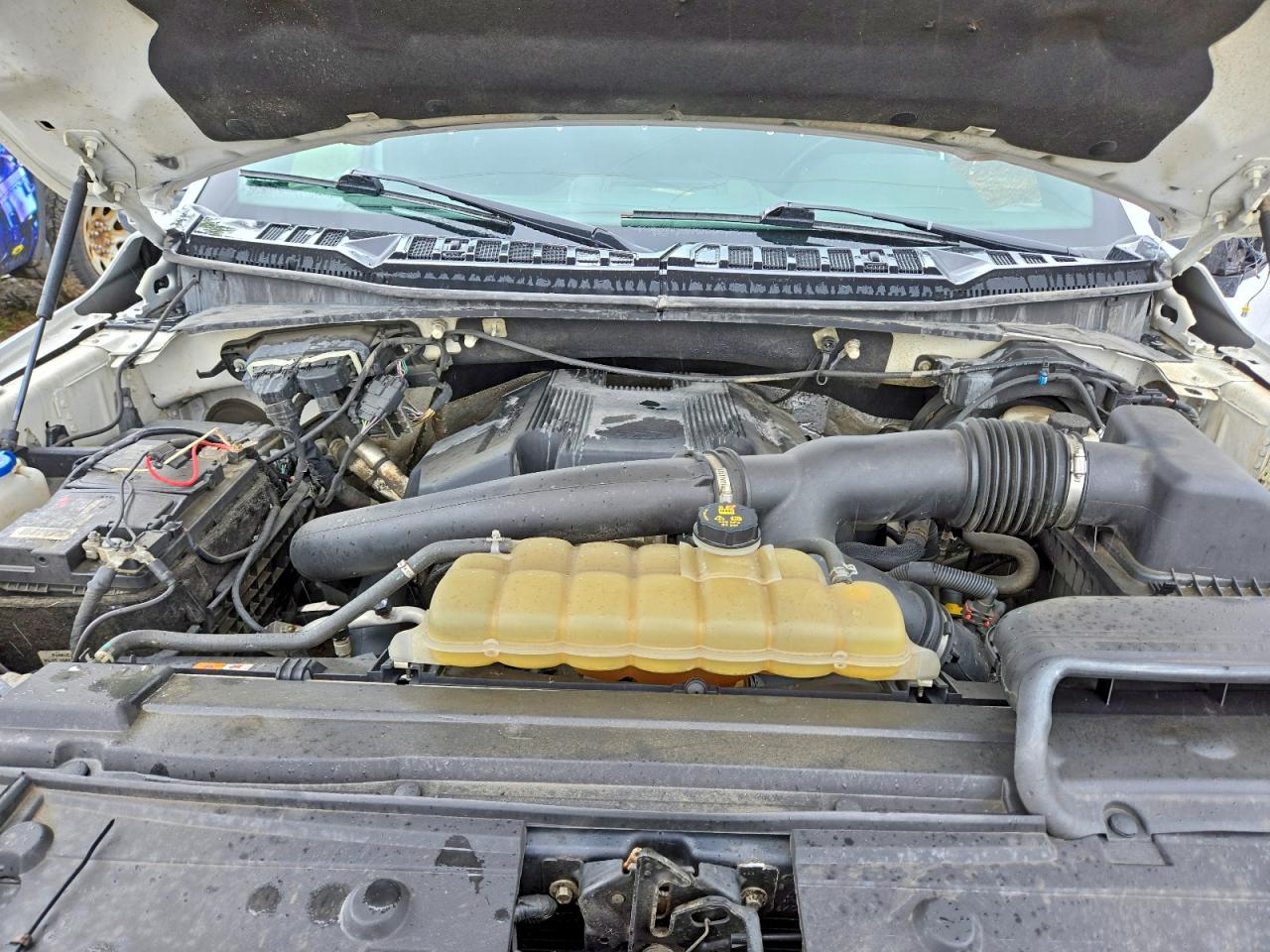 2019 FORD F150