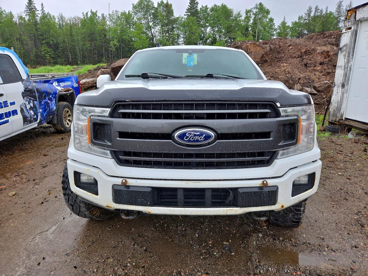 2019 FORD F150