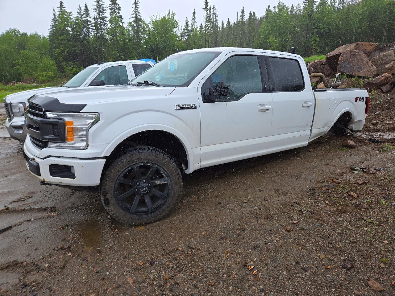 2019 FORD F150