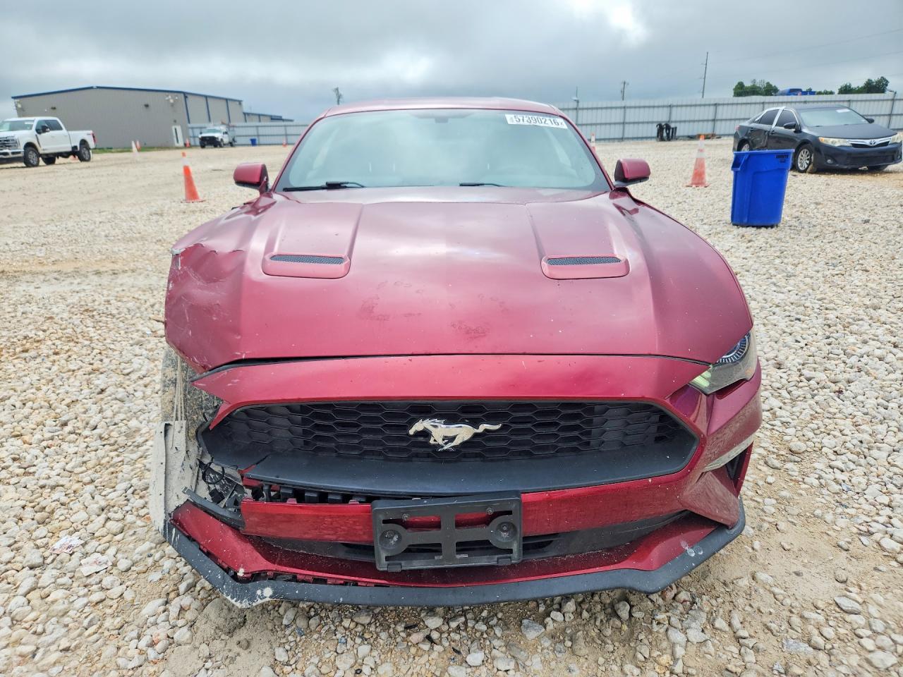 2019 FORD MUSTANG