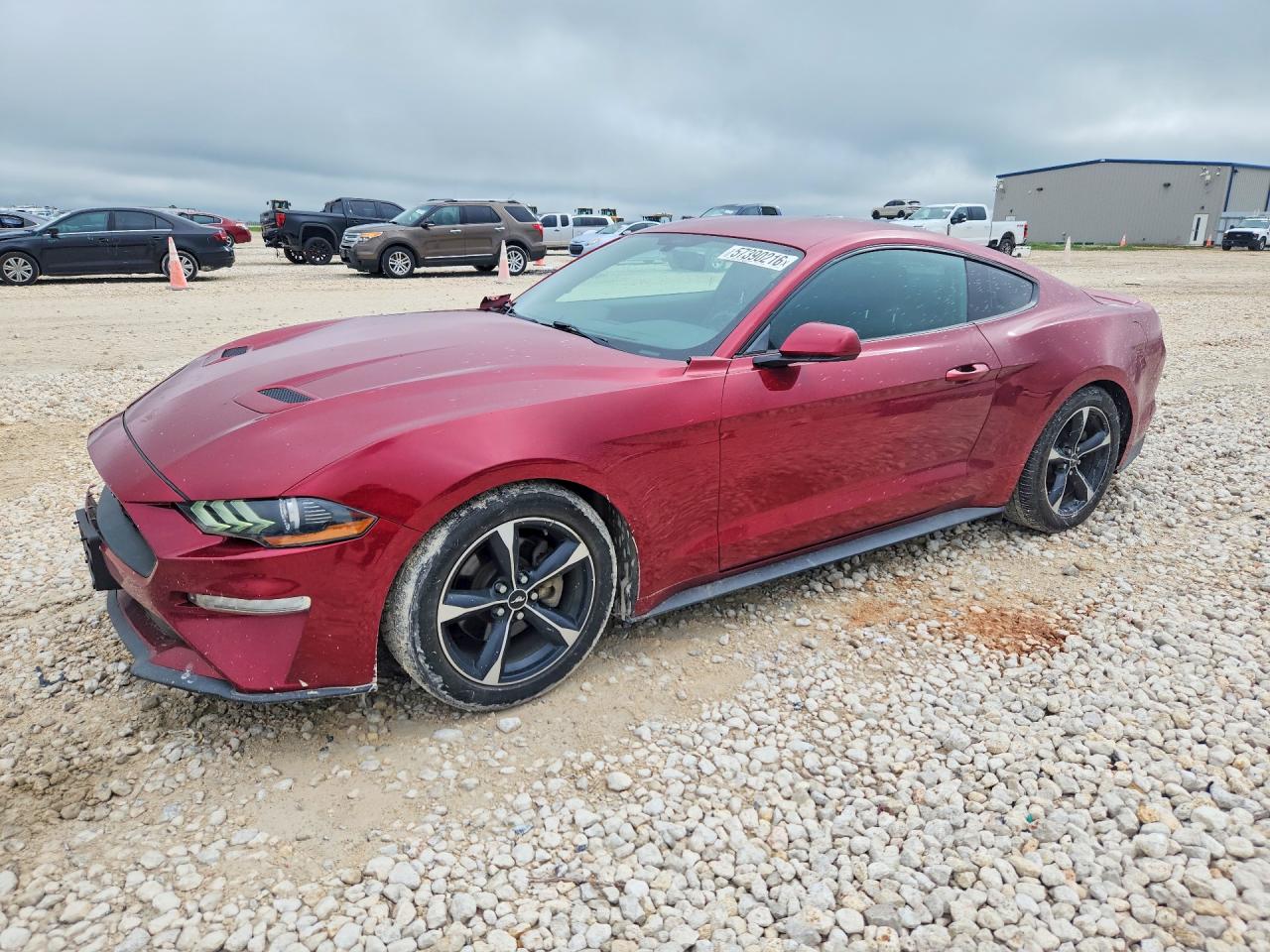 2019 FORD MUSTANG