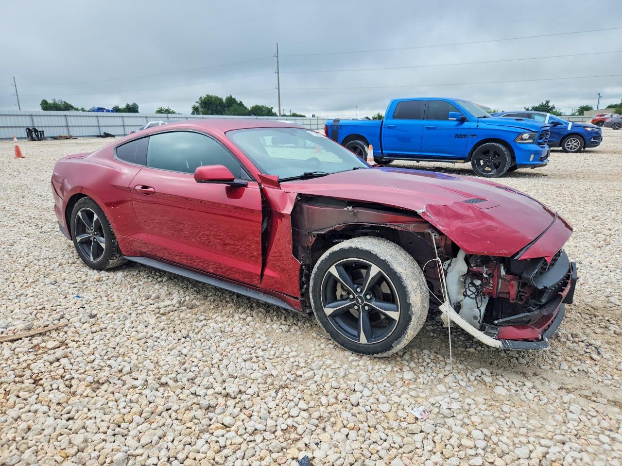 2019 FORD MUSTANG