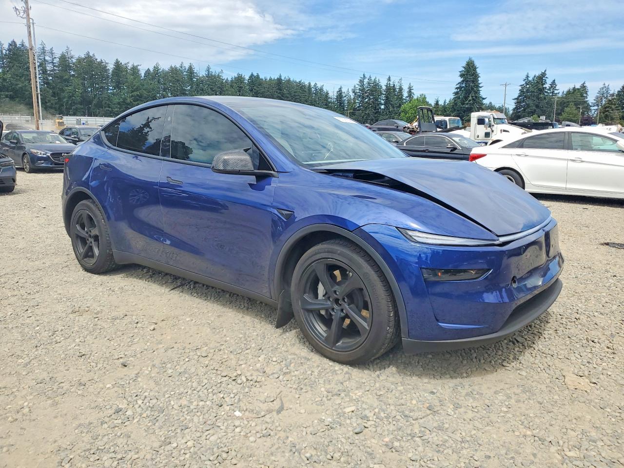 2026 TESLA MODEL Y