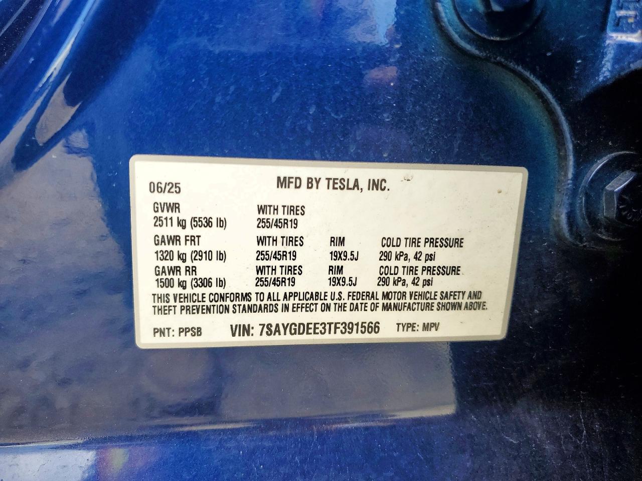 2026 TESLA MODEL Y