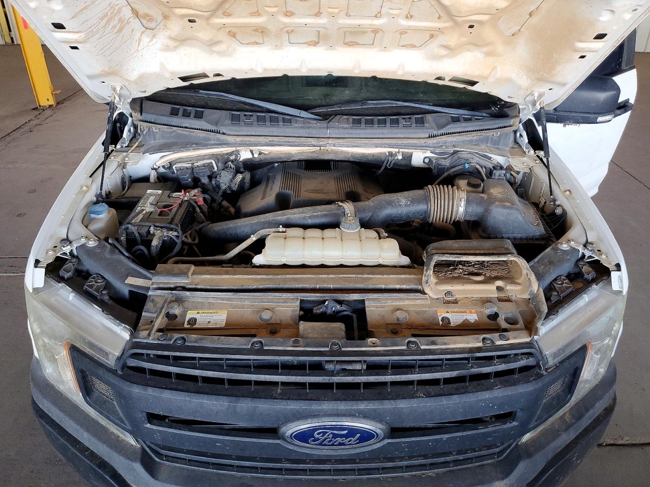 2019 FORD F150