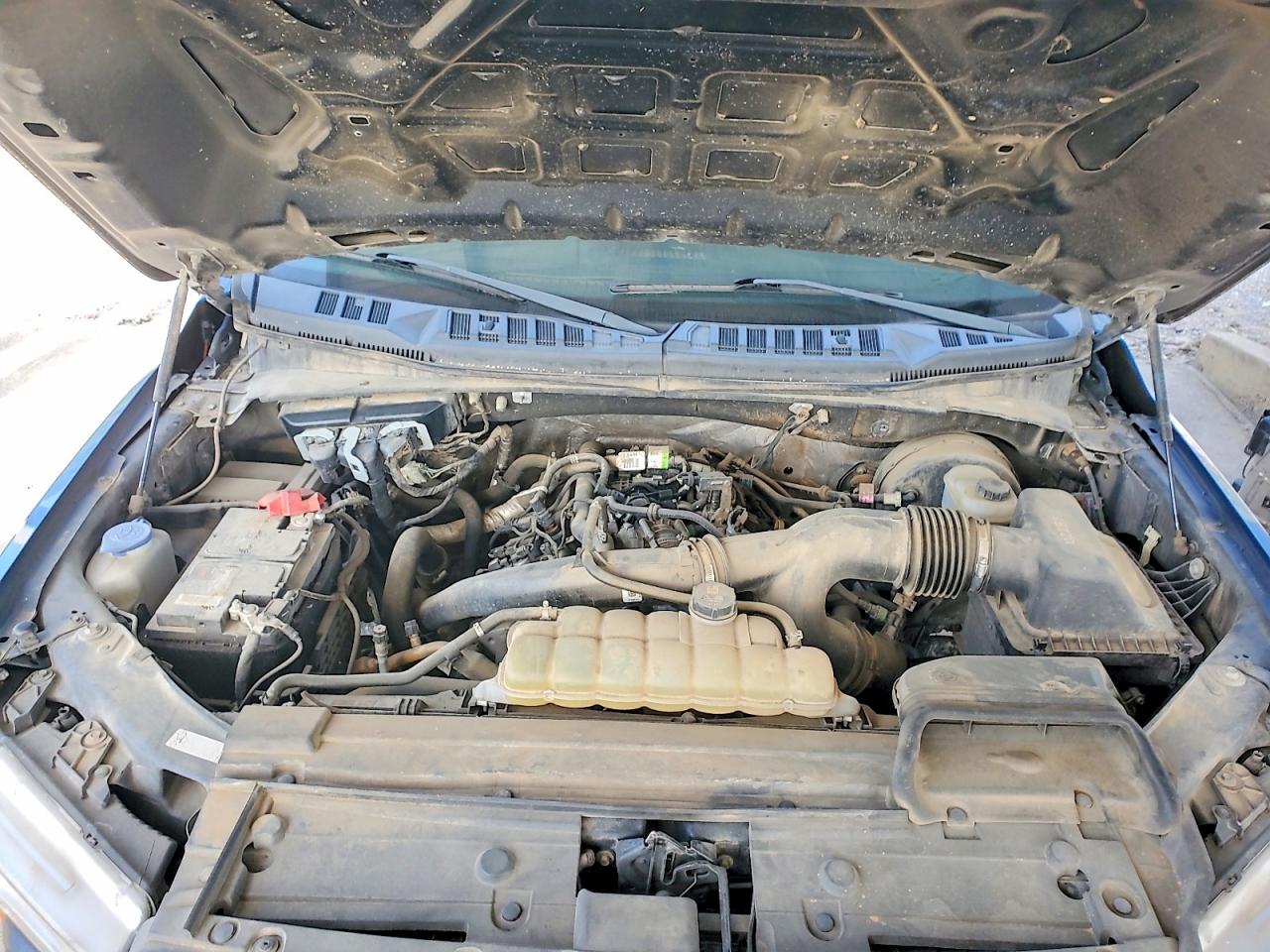 2019 FORD F150