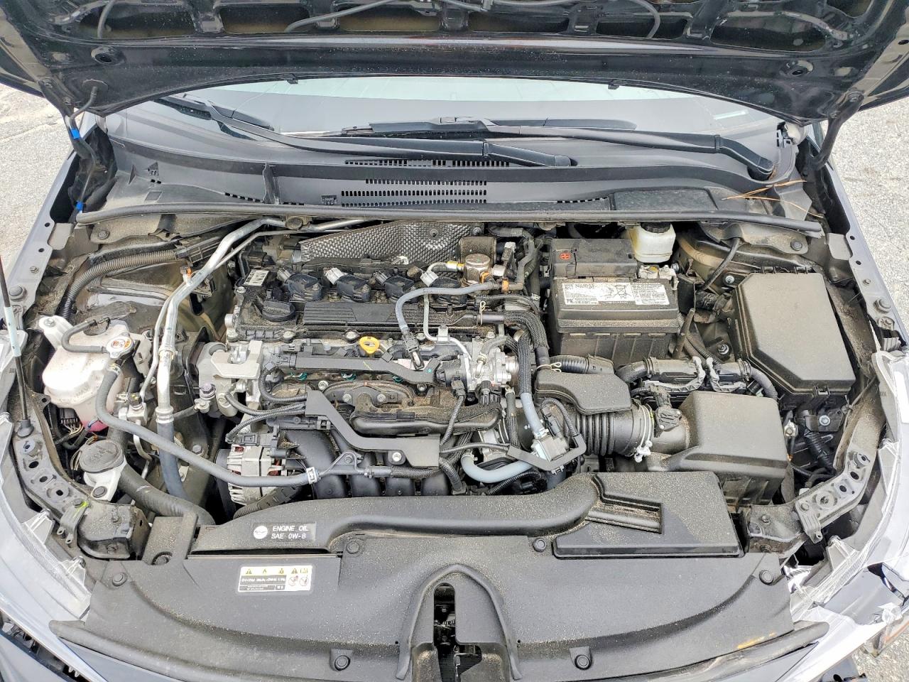 2025 TOYOTA COROLLA