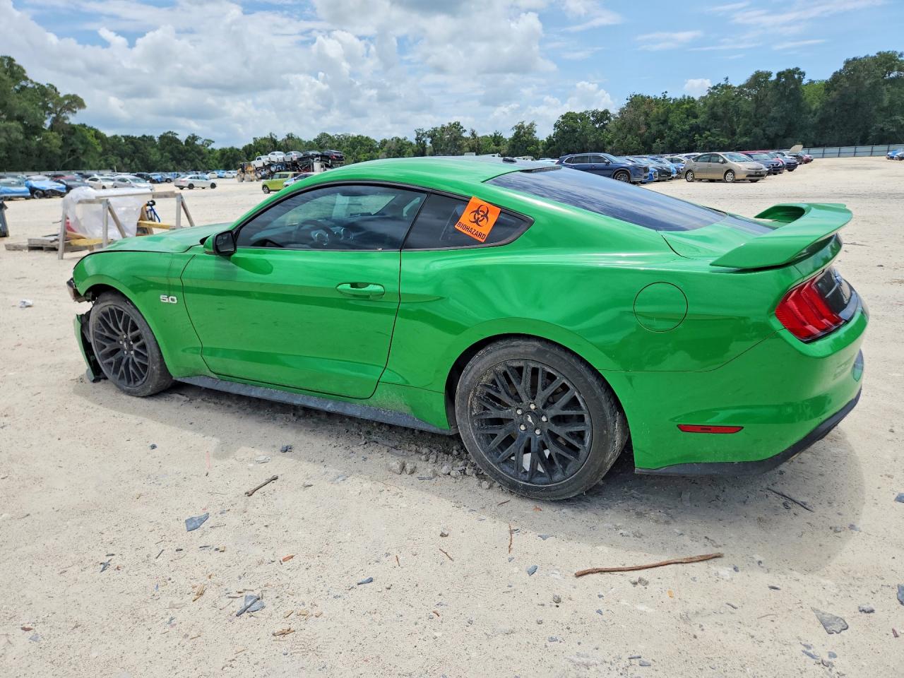2019 FORD MUSTANG