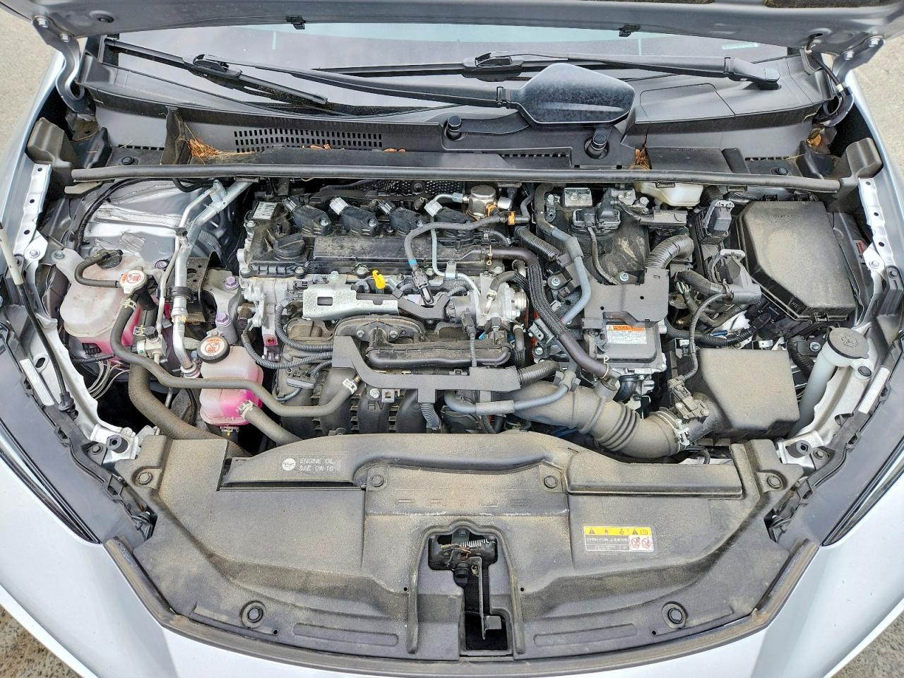 2023 TOYOTA PRIUS