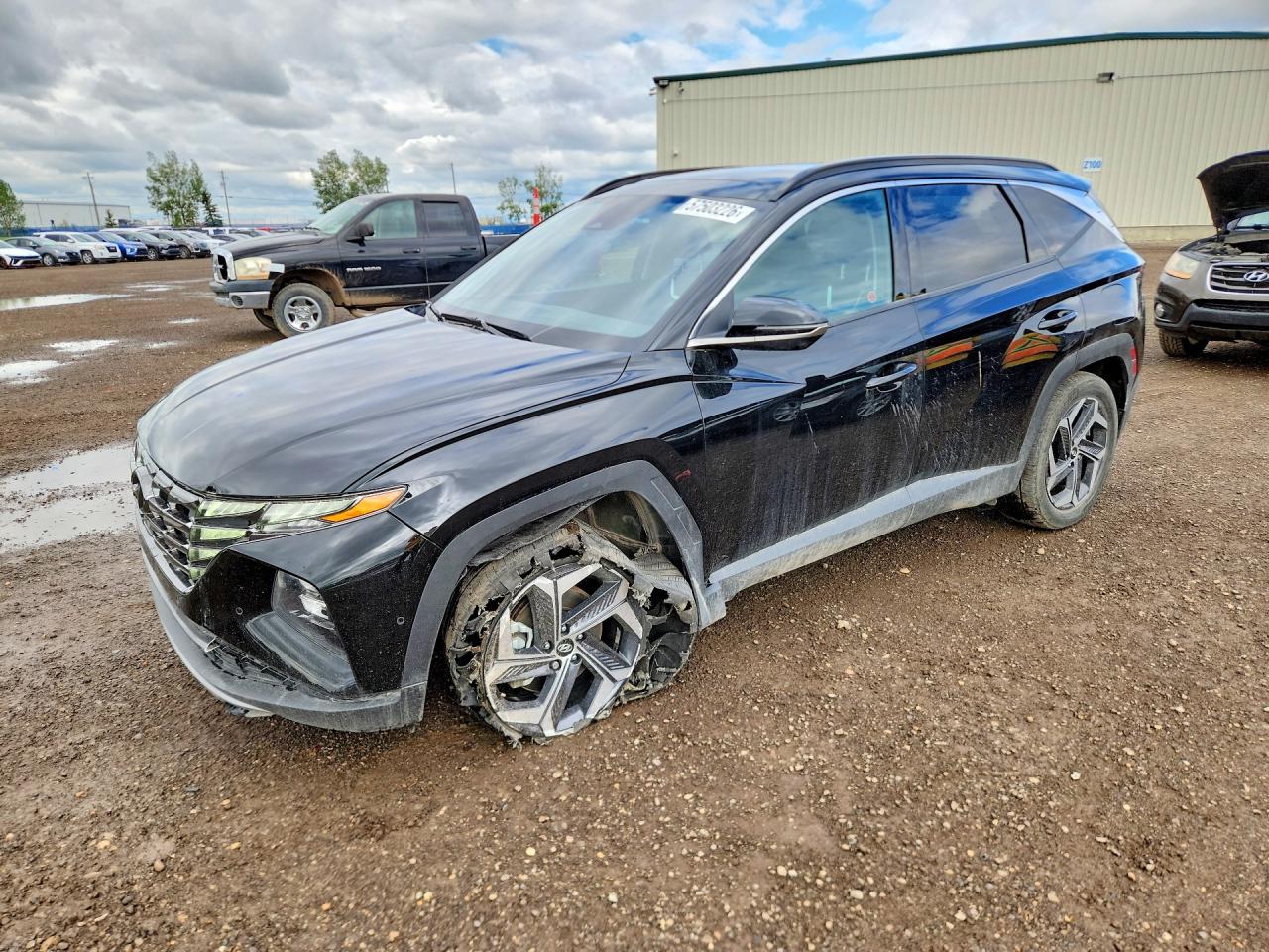 2024 HYUNDAI TUCSON