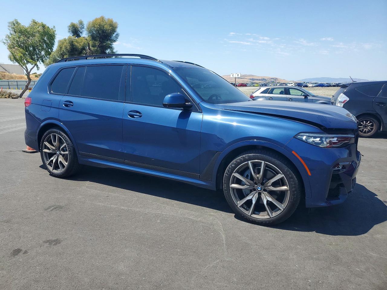 2019 BMW X7