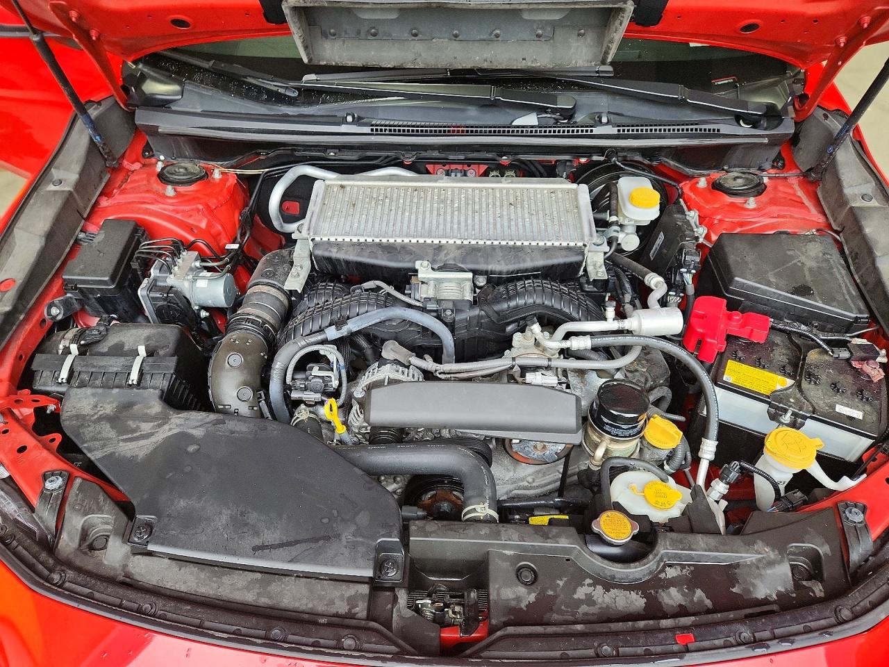 2024 SUBARU WRX