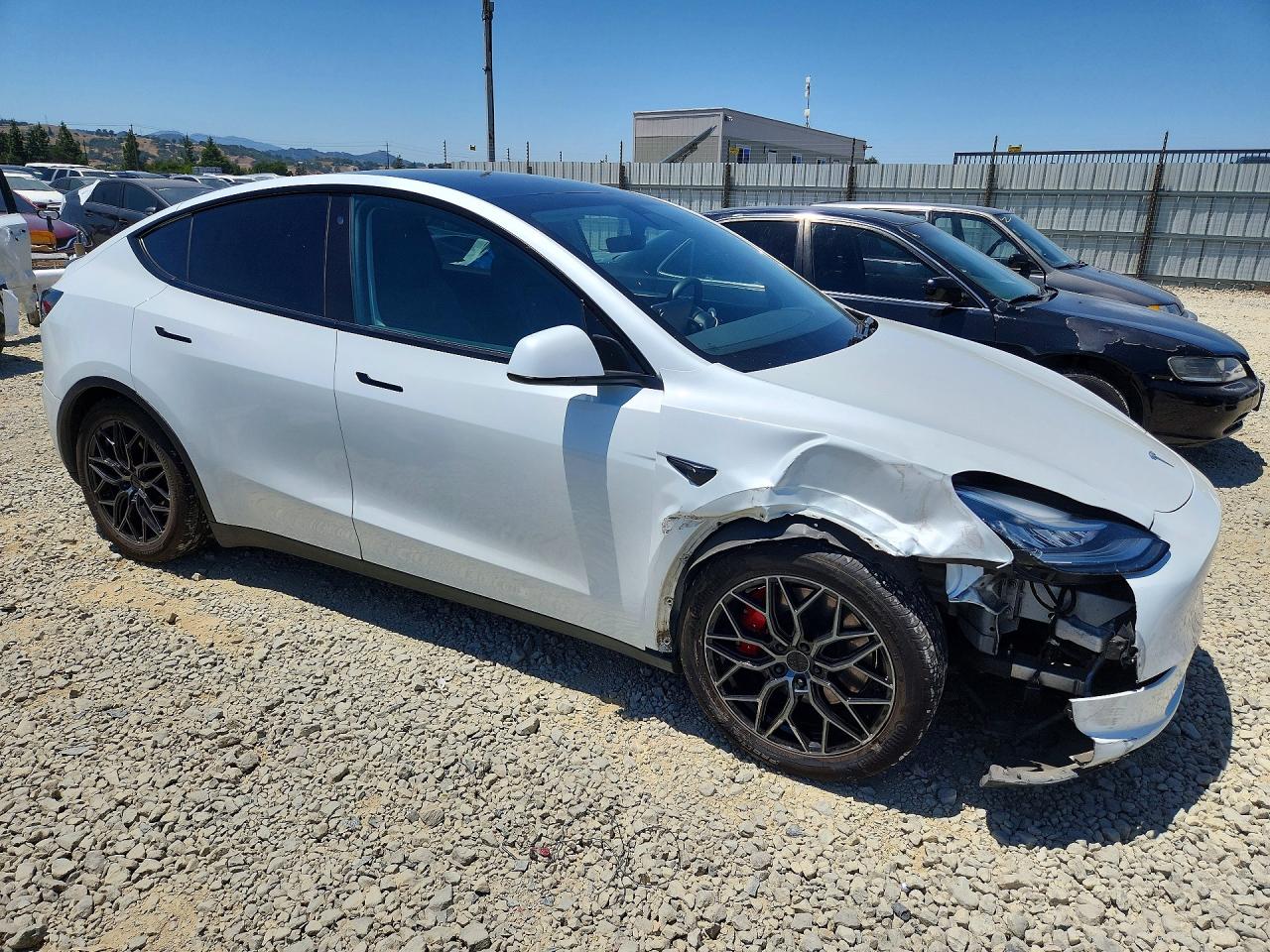 2020 TESLA MODEL Y