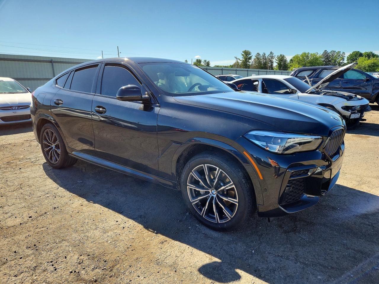 2023 BMW X6