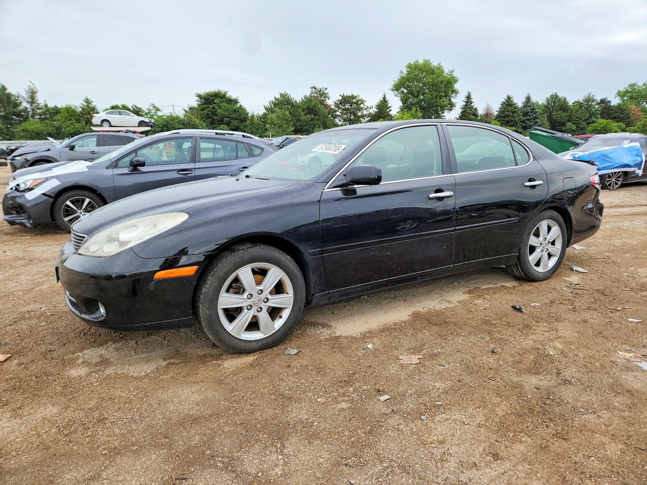 2005 LEXUS ES330