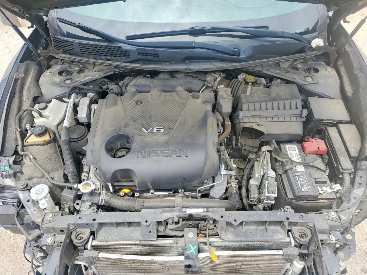 2019 NISSAN MAXIMA
