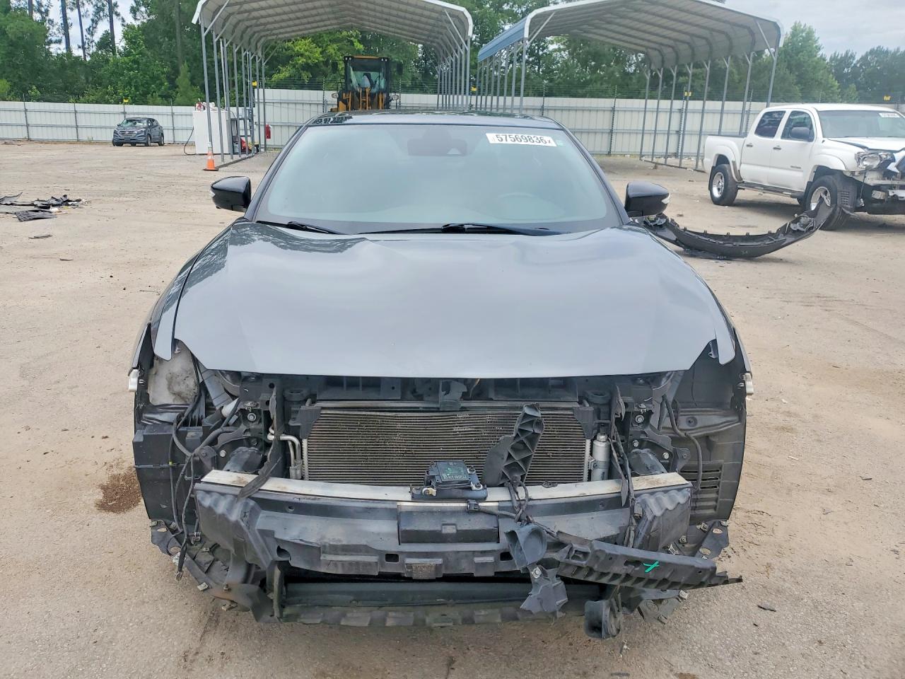 2019 NISSAN MAXIMA