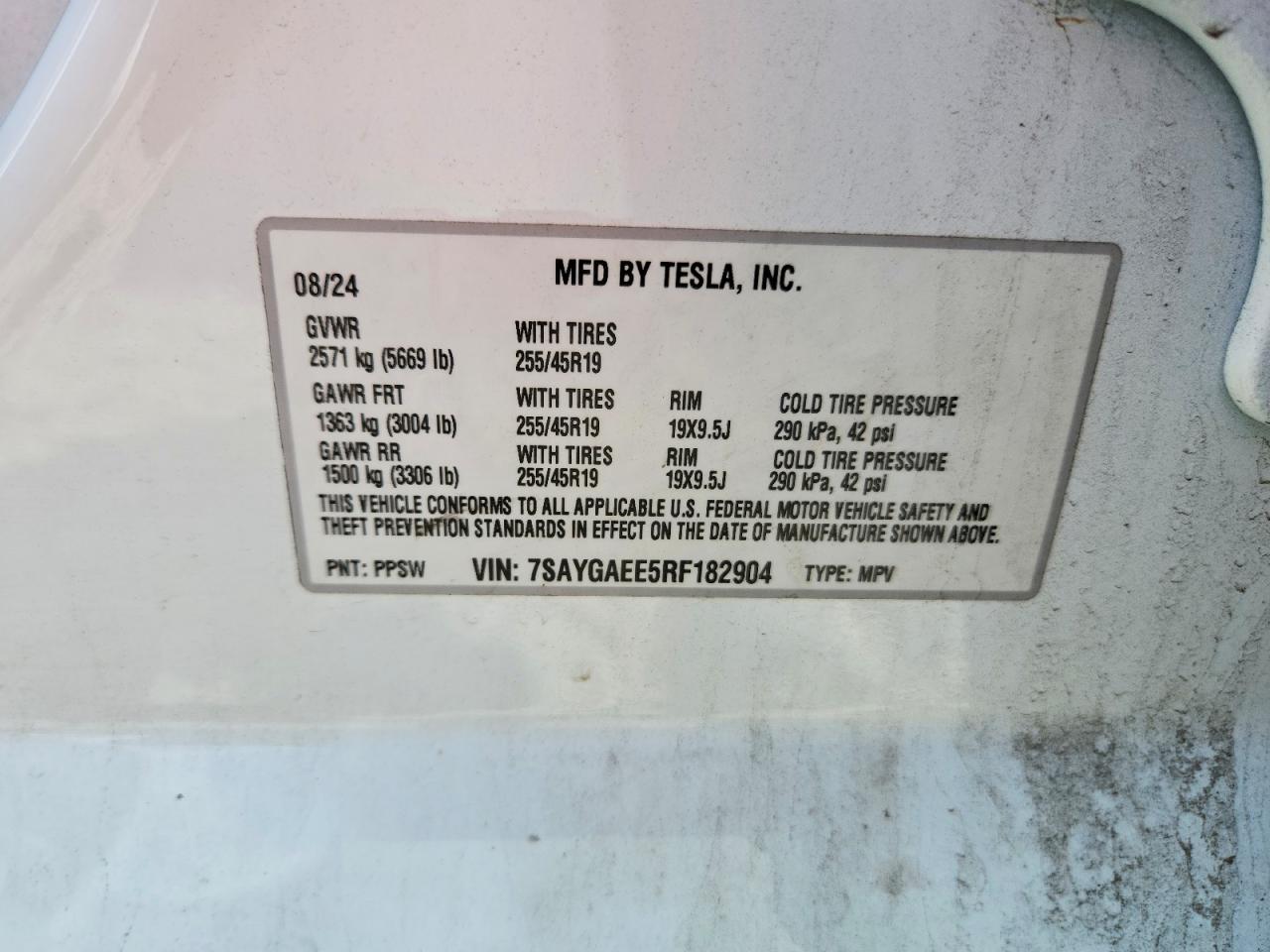 2024 TESLA MODEL Y