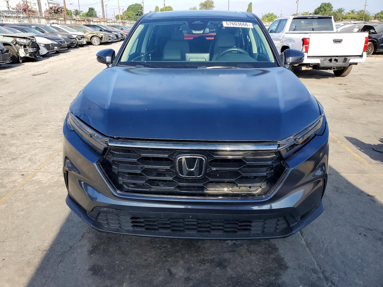 2024 HONDA CRV
